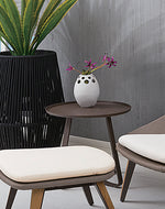 Dinosaur Egg End Table