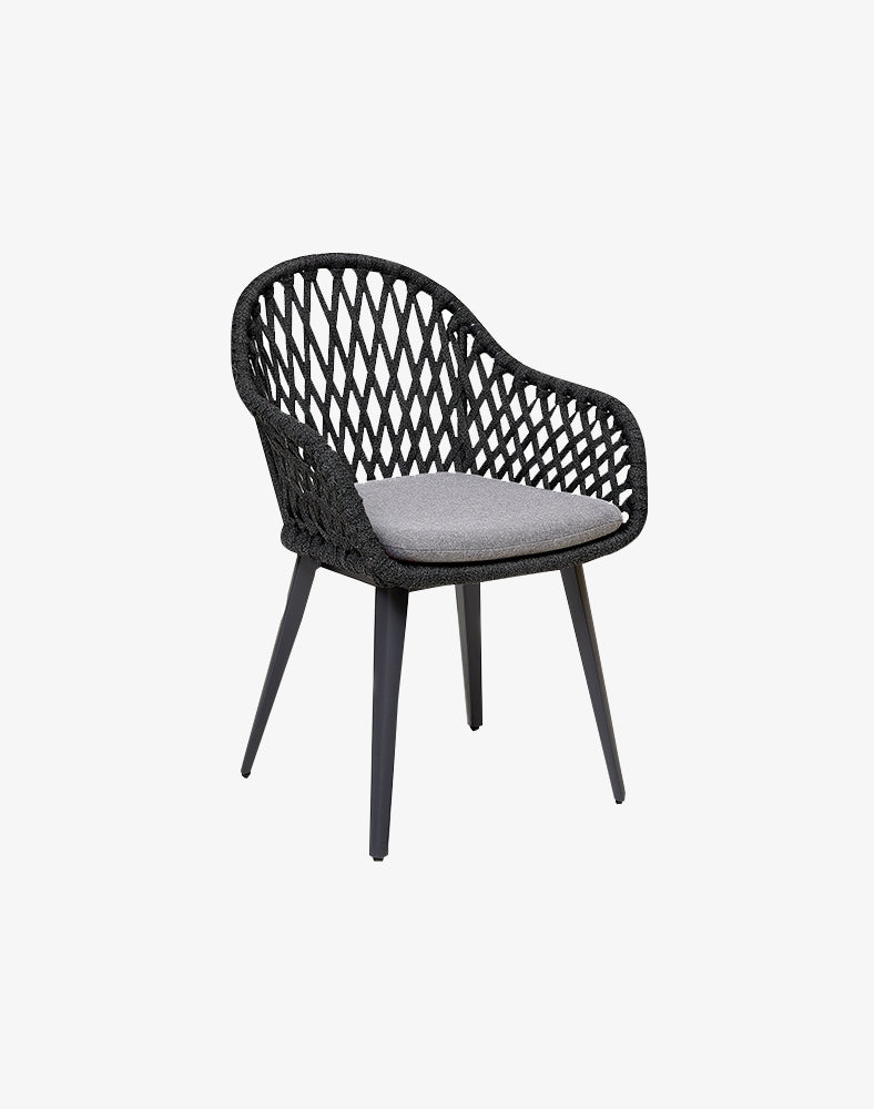 Dinosaur Egg Dining Armchair