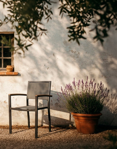 RAQUEL DINING ARMCHAIR
